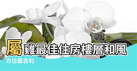 屬雞方位|属鸡最佳住房楼层和风水方位